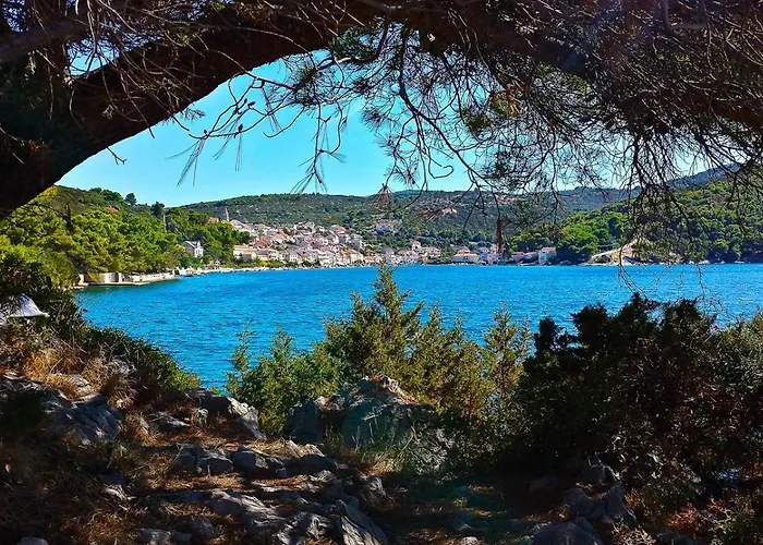 Apartament House Doda